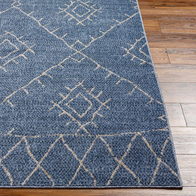 Razo Area Rug - Clearance