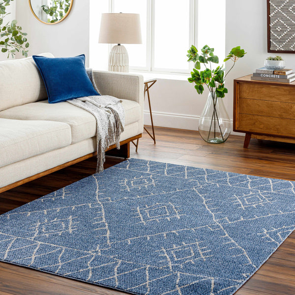 Razo Area Rug - Clearance