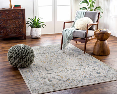 Aviva Area Rug