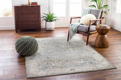 Aviva Area Rug