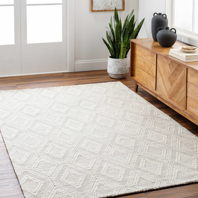 Kasib Cream Hand Woven Area Rug