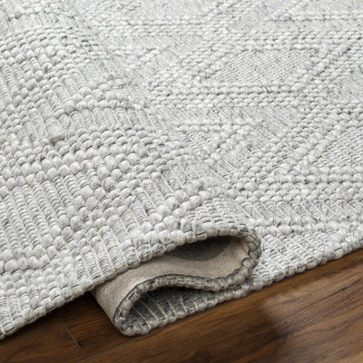 Kasib Gray Hand Woven Area Rug