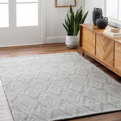 Kasib Gray Hand Woven Area Rug