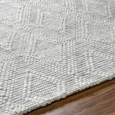 Kasib Gray Hand Woven Area Rug