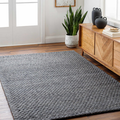 Kassa Dark Gray Hand Woven Area Rug