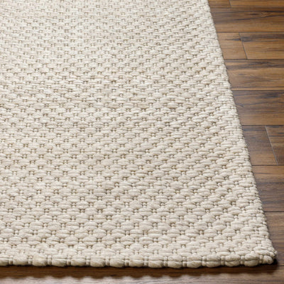 Kassa Beige Hand Woven Area Rug