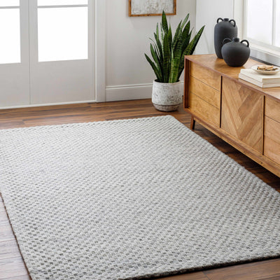 Kassa Gray Hand Woven Area Rug