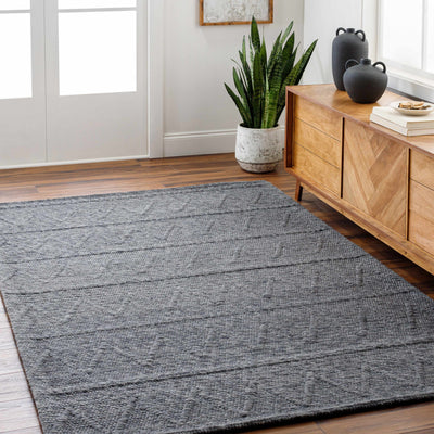 Kyung Dark Gray Area Rug