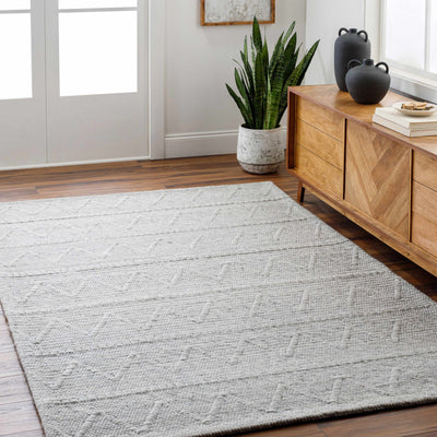 Kyung Gray Area Rug