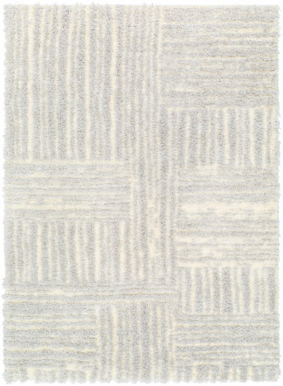 Arich Gray Plush Area Rug