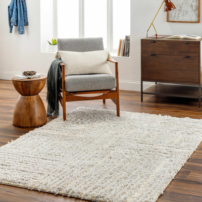 Arich Gray Plush Area Rug