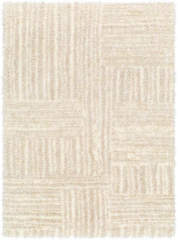 Arich Beige Plush Area Rug