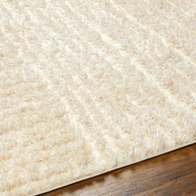 Arich Beige Plush Area Rug