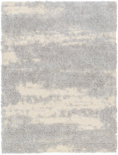 Aysun Gray Plush Area Rug