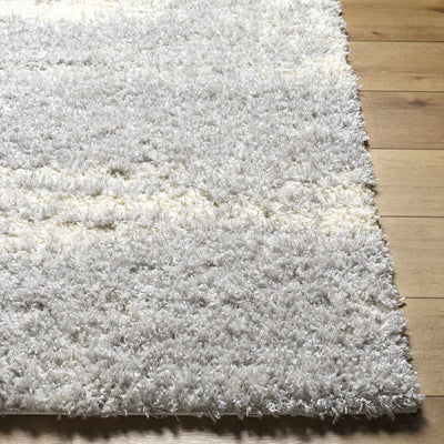 Aysun Gray Plush Area Rug