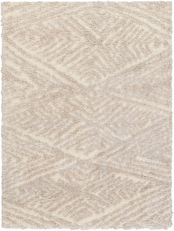 Aysun Beige Plush Area Rug