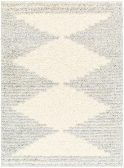 Bayan Gray Plush Area Rug