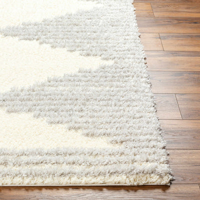 Bayan Gray Plush Area Rug