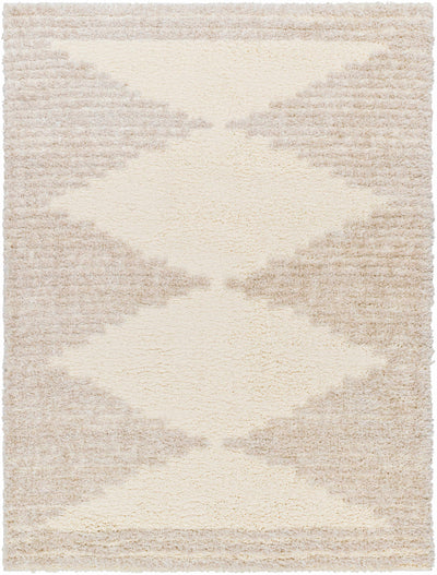 Bayan Beige Plush Area Rug