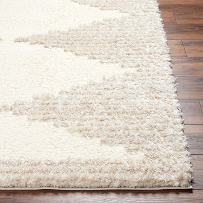 Bayan Beige Plush Area Rug