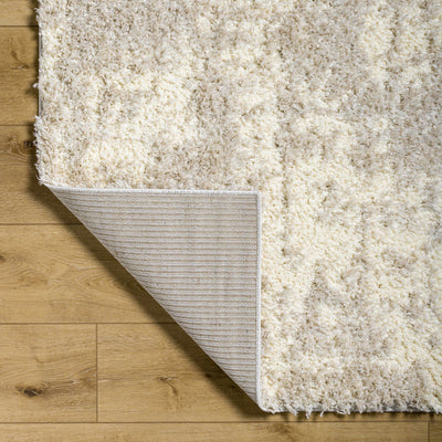 Edzia Beige Plush Area Rug