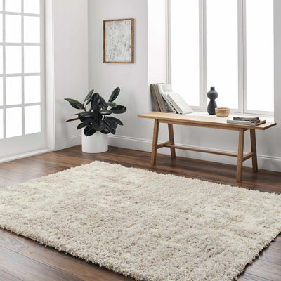 Edzia Beige Plush Area Rug