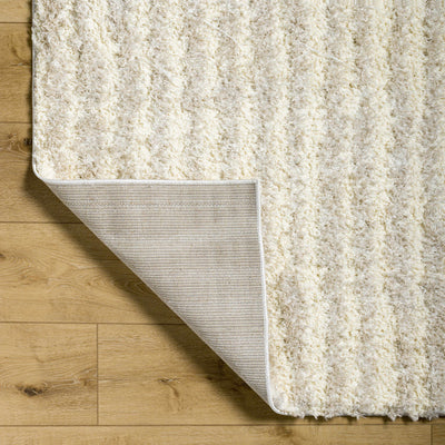 Filip Block Striped Plush Area Rug