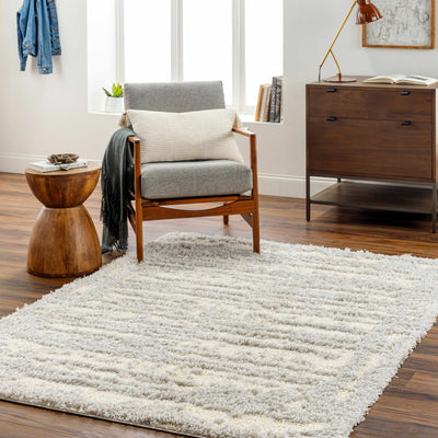 Gidja Gray Plush Area Rug