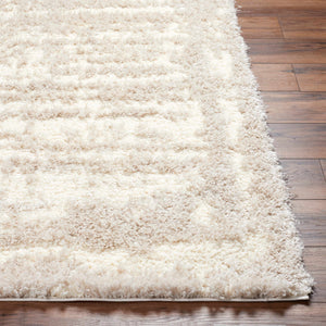 Gidja Beige Plush Area Rug