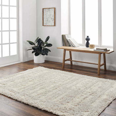 Gidja Beige Plush Area Rug