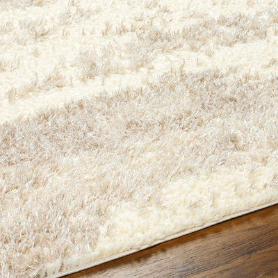 Grete Beige Plush Area Rug