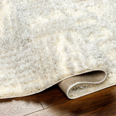 Iduia Gray Plush Area Rug