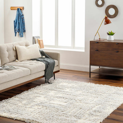 Iduia Gray Plush Area Rug