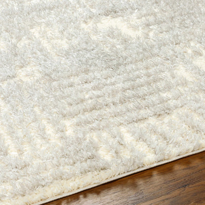 Iduia Gray Plush Area Rug