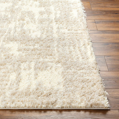 Iduia Beige Plush Area Rug