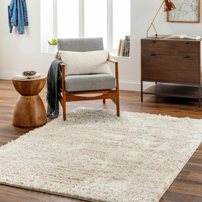 Iduia Beige Plush Area Rug