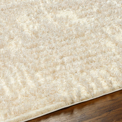 Iduia Beige Plush Area Rug