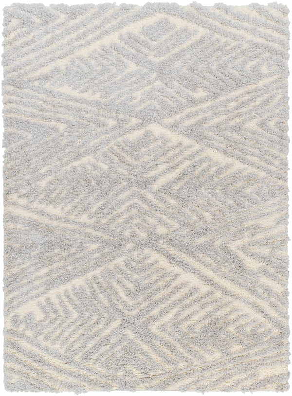 Ioana Gray Plush Area Rug