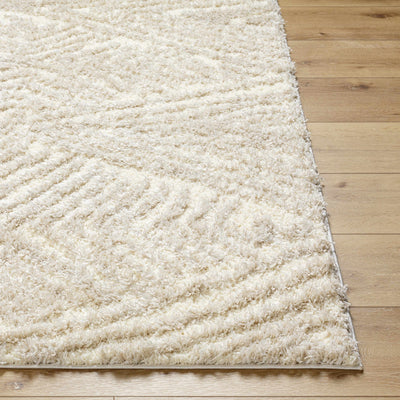 Ioana Beige Plush Area Rug