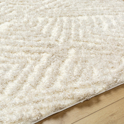 Ioana Beige Plush Area Rug