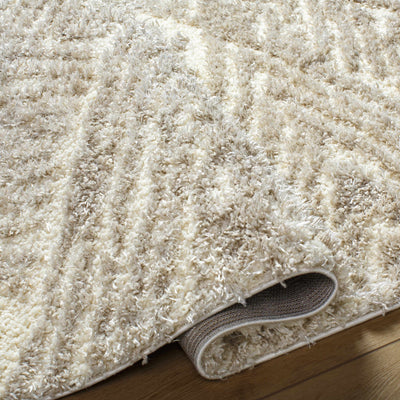 Ioana Beige Plush Area Rug