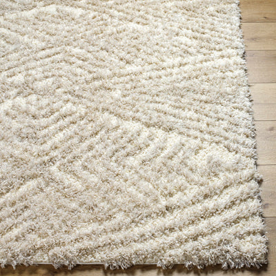 Ioana Beige Plush Area Rug