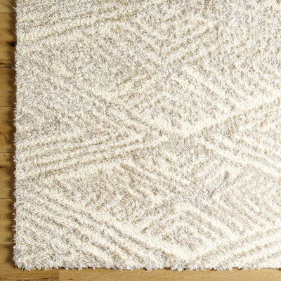 Ioana Beige Plush Area Rug