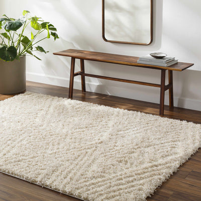 Ioana Beige Plush Area Rug