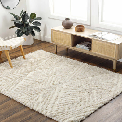 Ioana Beige Plush Area Rug