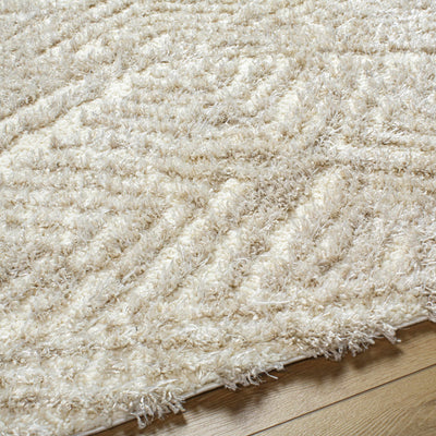 Ioana Beige Plush Area Rug