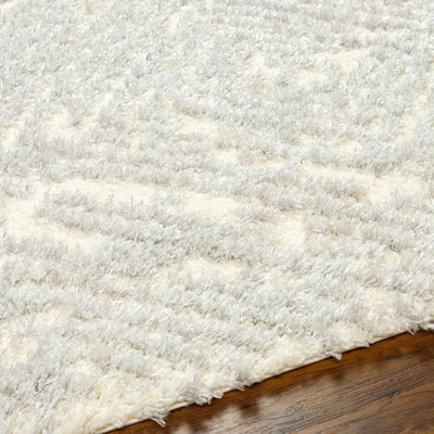 Isano Gray Plush Area Rug