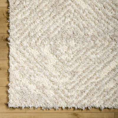 Isano Beige Plush Area Rug