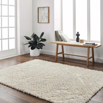 Isano Beige Plush Area Rug