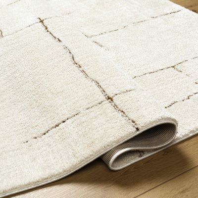 Koume Ivory & Brown Area Rug